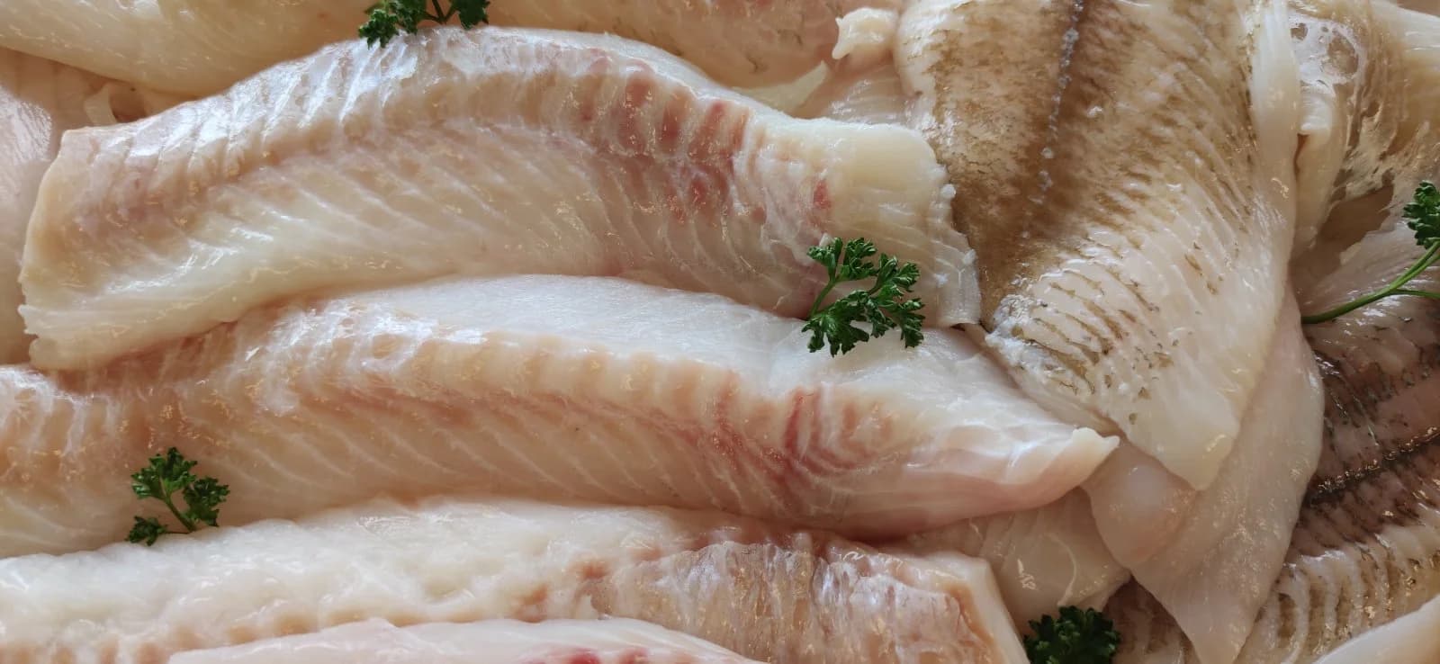 En fin räka tallrik